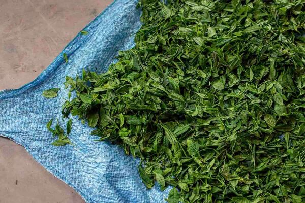 Lazika Bergamot-Portakal Aromalı Siyah Çay 350g