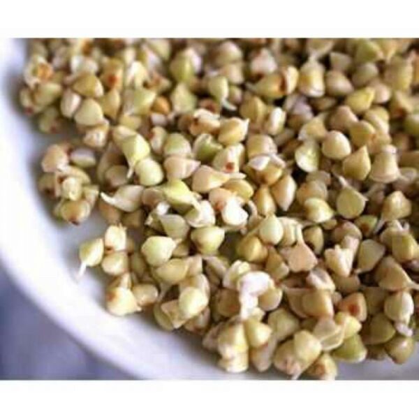 Dola Glutensiz Çiğ Karabuğday Tane 25 kg Greçka